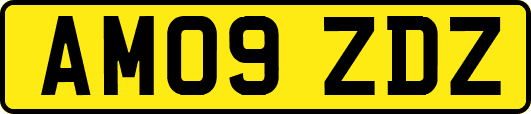 AM09ZDZ
