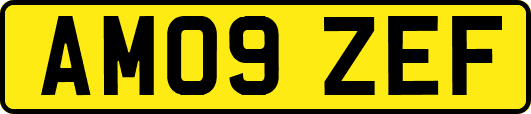AM09ZEF