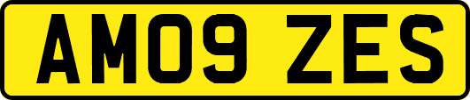 AM09ZES