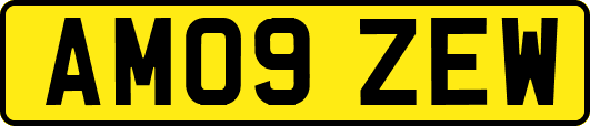 AM09ZEW