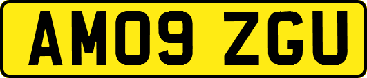 AM09ZGU