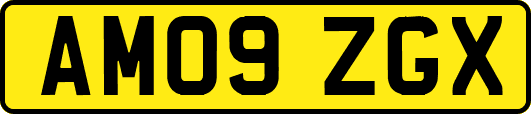 AM09ZGX