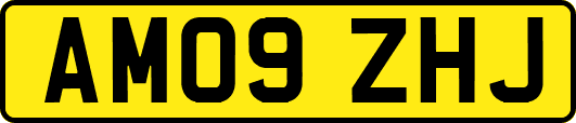 AM09ZHJ