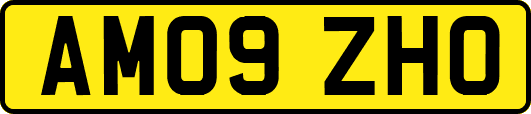 AM09ZHO