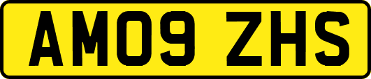 AM09ZHS