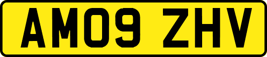 AM09ZHV