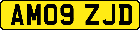 AM09ZJD