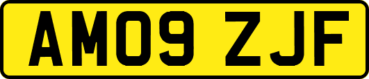 AM09ZJF