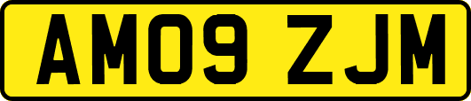AM09ZJM