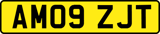 AM09ZJT