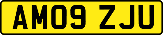 AM09ZJU