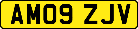 AM09ZJV