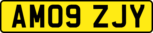AM09ZJY