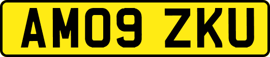 AM09ZKU