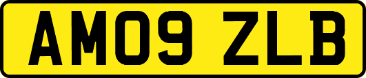 AM09ZLB