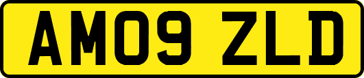 AM09ZLD