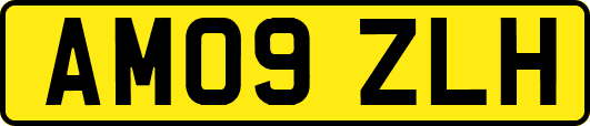 AM09ZLH