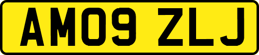 AM09ZLJ