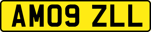 AM09ZLL