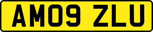 AM09ZLU
