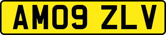 AM09ZLV