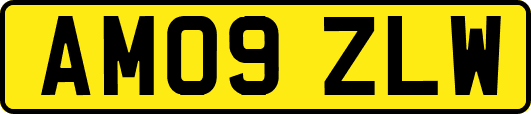 AM09ZLW