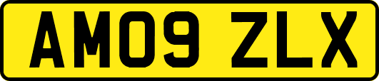 AM09ZLX