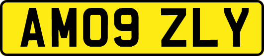 AM09ZLY