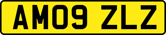 AM09ZLZ