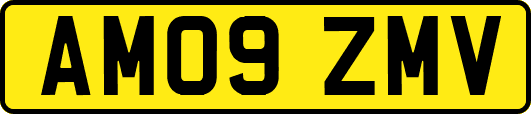 AM09ZMV