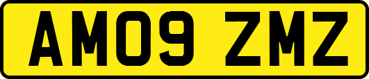 AM09ZMZ