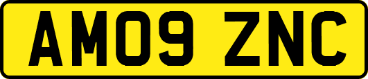 AM09ZNC