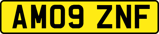 AM09ZNF