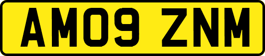 AM09ZNM