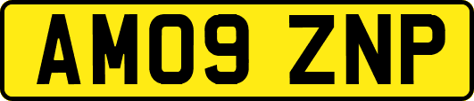 AM09ZNP