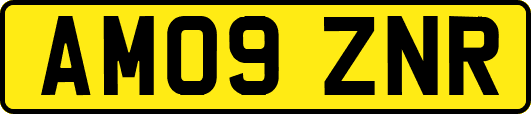 AM09ZNR