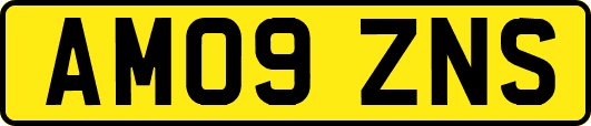 AM09ZNS