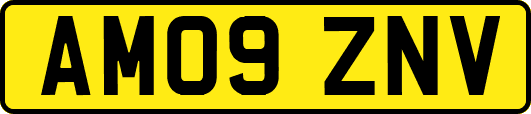 AM09ZNV