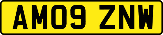 AM09ZNW