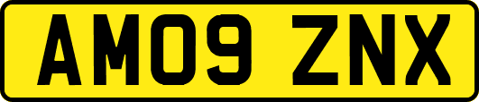 AM09ZNX