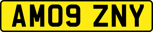 AM09ZNY