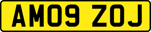 AM09ZOJ