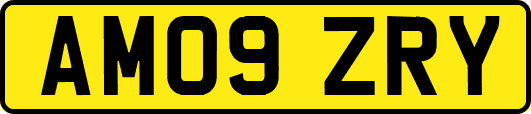 AM09ZRY