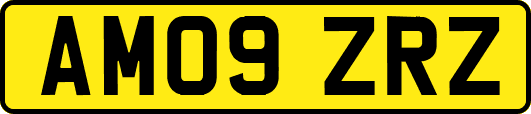 AM09ZRZ