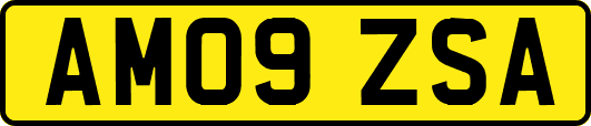 AM09ZSA