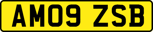 AM09ZSB