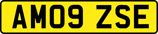 AM09ZSE