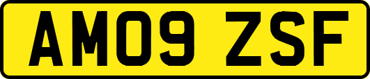 AM09ZSF