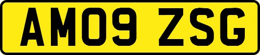 AM09ZSG