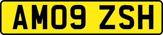 AM09ZSH